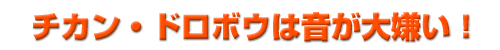 チカン・泥棒は音が大嫌い!